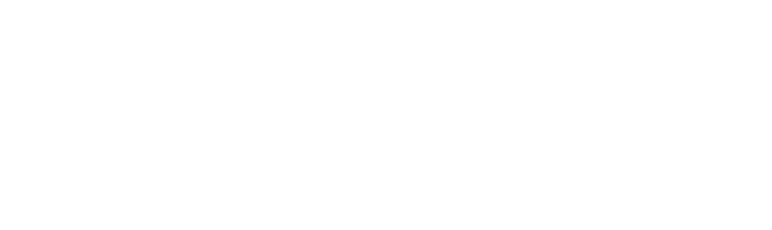 Global Bridge
